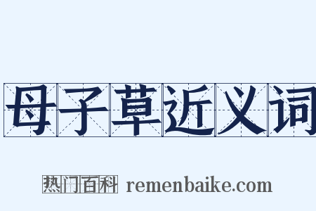 母子草近义词是什么意思的图片